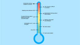 Anxiety thermometer