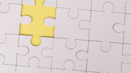 Piece of the puzzle activity