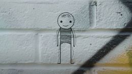 The adolescent brain video