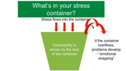 Developing a wellness action plan: video for students
