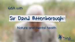 Mental health and nature video