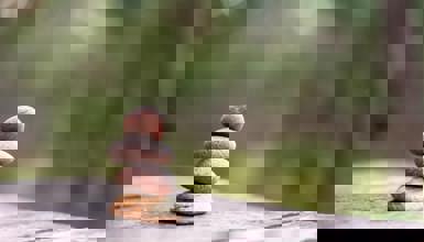 Pexels Nicollazzi Xiong 668353