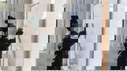 Wellbeing measurement for schools - staff survey